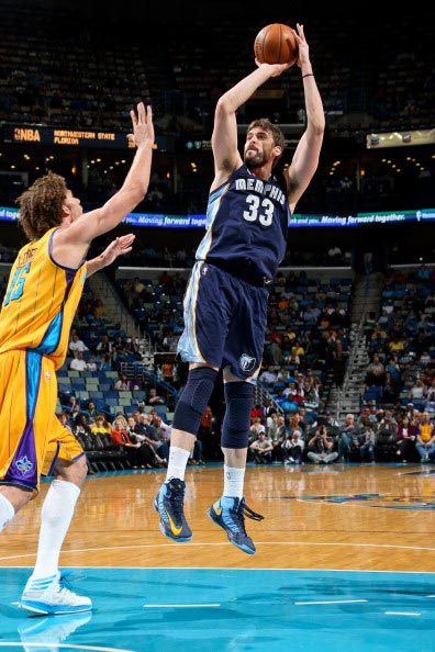 的坚实后盾 的坚实后盾